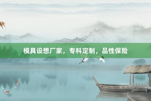 模具设想厂家，专科定制，品性保险